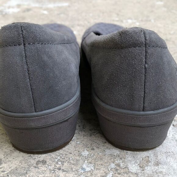 Grasshoppers   - Picture 3 of 5